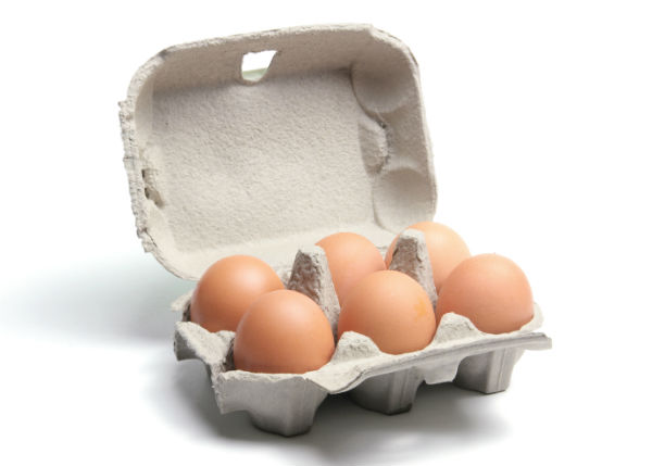 Recyclable Paperboard or Polystyrene Egg Cartons